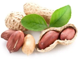 Арахис — Exim Agro