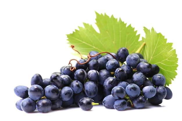 Виноград — Exim Agro