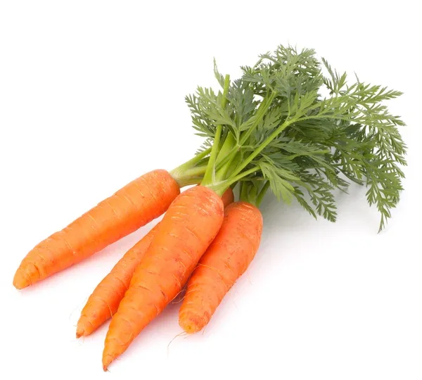 Морковь — Exim Agro