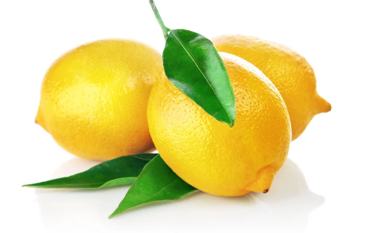 Лимоны — Exim Agro
